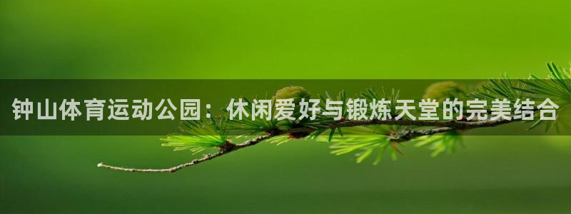 yy易游官网下载平台注册流程视频：钟山体育运动公园：休闲爱好