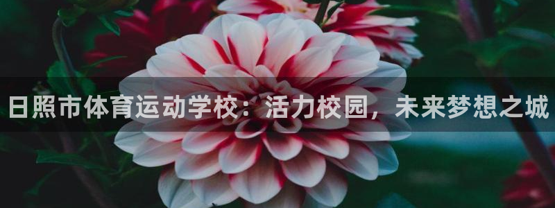 yy易游官网下载平台注册要钱吗是真的吗：日照市体育运动学校：