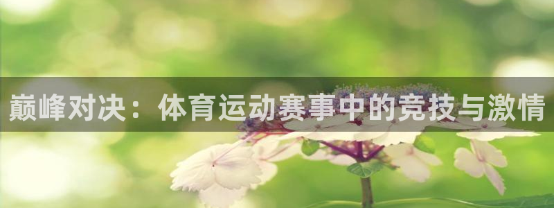 yy易游官方正版app代理：巅峰对决：体育运动赛事中的竞技与