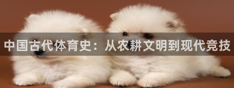 yy易游官方正版app娱乐：中国古代体育史：从农耕文