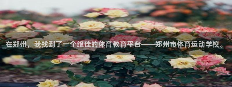 yy易游官方正版app集团简介：在郑州，我找到了一个