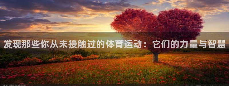 yy易游官网下载招商电话是多少啊：发现那些你从未接触过的体育