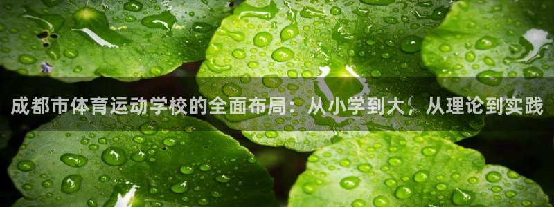 德国yy易游官方正版app集团：成都市体育运动学校的