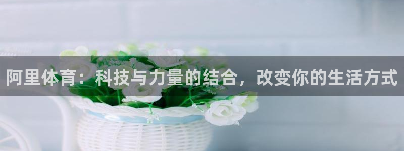 海南yy易游官网下载：阿里体育：科技与力量的结合，改