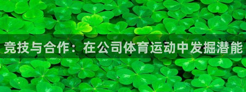 yy易游官方集团官网：竞技与合作：在公司体育运动中发