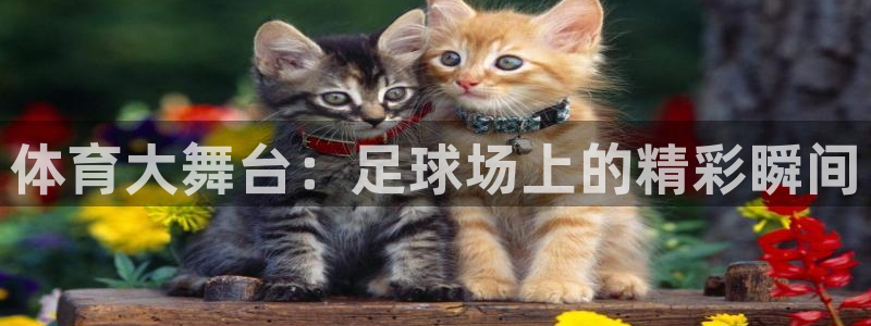 yy易游官方正版app娱乐代理怎么样：体育大舞台：足