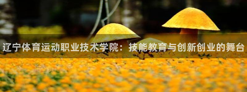 yy易游官网下载招商电话号码是多少：辽宁体育运动职业