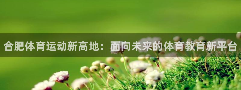 海南yy易游官网下载发展怎么样：合肥体育运动新高地：