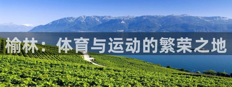 yy易游官方正版app娱乐