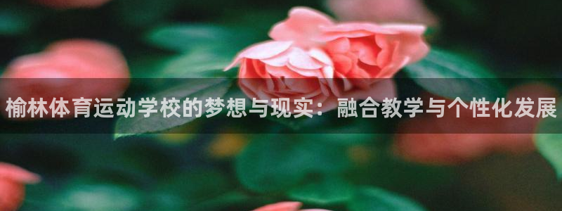 yy易游官方正版app神州：榆林体育运动学校的梦想与