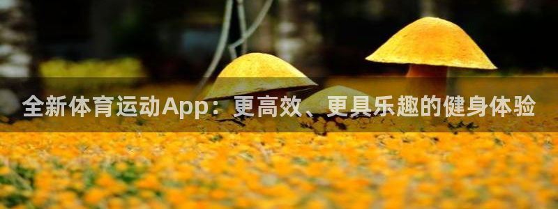 yy易游官网下载招商电话是多少：全新体育运动App：