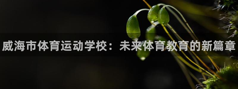 yy易游官方平台体育