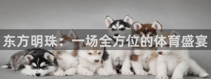 yy易游官方正版app集团E.ON：东方明珠：一场全方位的体
