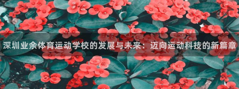yy易游官网下载平台注册：深圳业余体育运动学校的发展与未来：