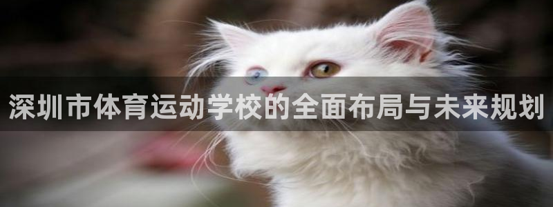 yy易游官网下载娱乐：深圳市体育运动学校的全面布局与