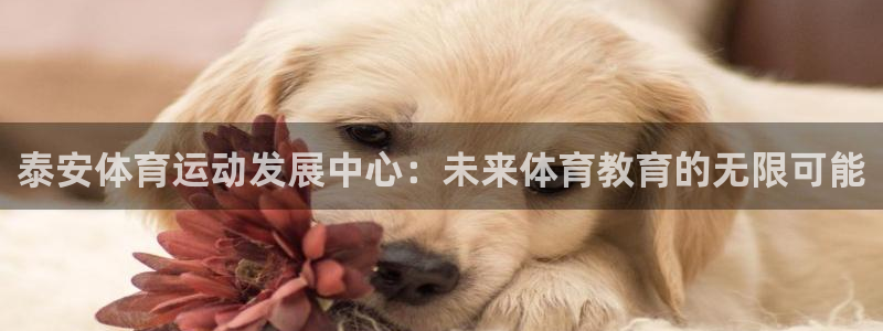 yy易游官方正版app新能源