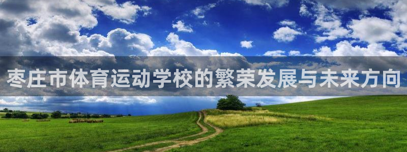 注册yy易游官方正版app：枣庄市体育运动学校的繁荣发展与未