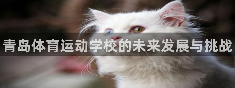 yy易游官网下载娱乐：青岛体育运动学校的未来发展与挑战