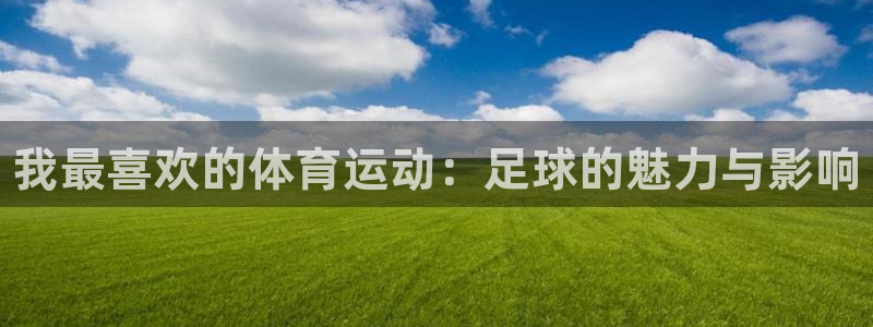 yy易游官方正版app神州