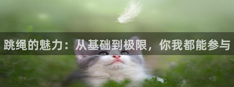 yy易游官方正版app娱乐首页网站大全