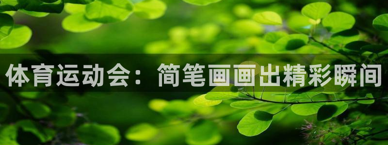 yy易游官方正版app娱乐代理怎么样：体育运动会：简笔画画出