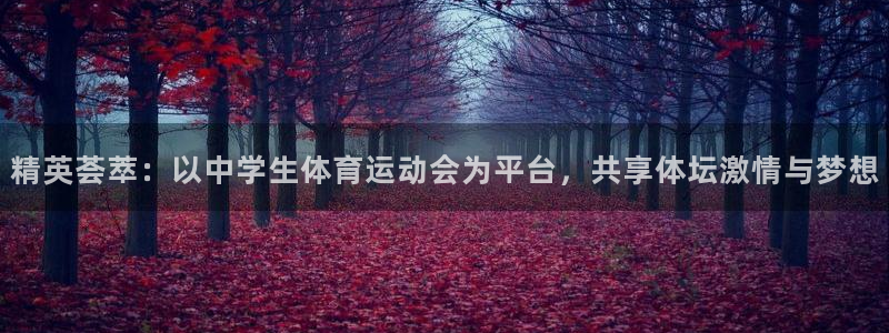 yy易游官网下载招商电话号码查询是多少：精英荟萃：以