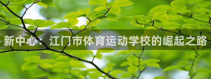 德国yy易游官方正版app集团：新中心：江门市体育运
