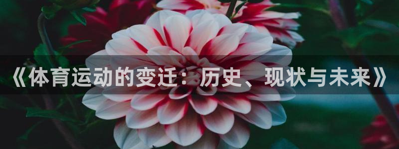 yy易游官网下载是干嘛的公司