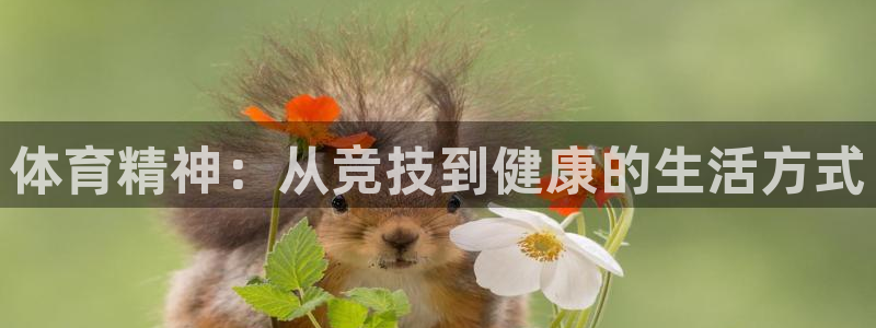 注册yy易游官方正版app：体育精神：从竞技到健康的生活方式