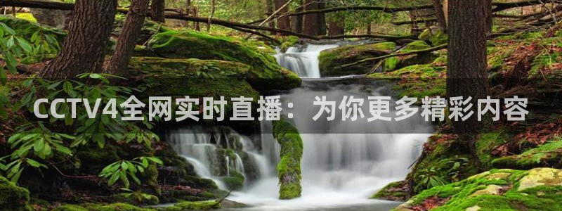 球友体育直播在线观看