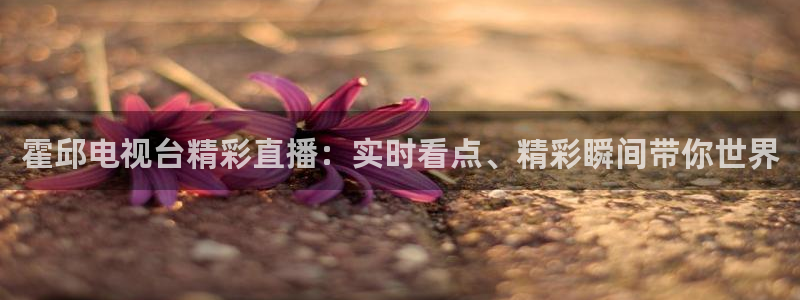 球友体育在线直播