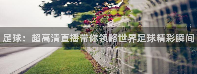 球友会体育：足球：超高清直播带你领略世界足球精彩瞬间